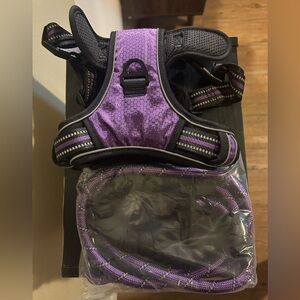 Purple Dog Harness and Leash